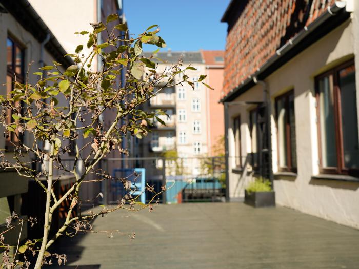 Foto af tagtaresse